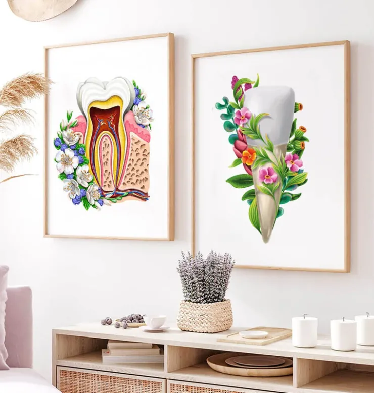 Anatomie dentaire III - Floral - Blanc-Codex Anatomicus