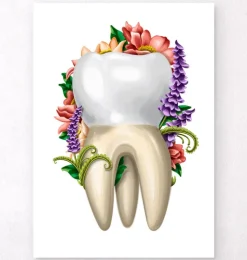 Anatomie dentaire IV - Floral - Blanc-Codex Anatomicus Sale
