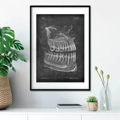 Anatomie des dents et des mâchoires - Chalkboard-Codex Anatomicus Sale