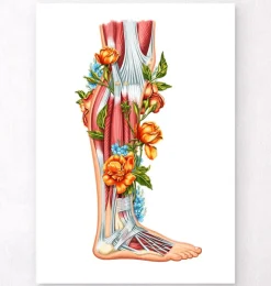 Anatomie des jambes - Floral - Blanc-Codex Anatomicus Outlet