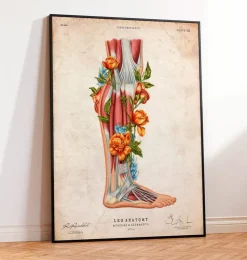 Anatomie des jambes - Floral - Vintage-Codex Anatomicus Clearance