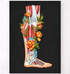 Anatomie des jambes - Floral - Noir-Codex Anatomicus Hot