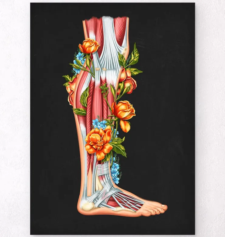 Anatomie des jambes - Floral - Noir-Codex Anatomicus Hot