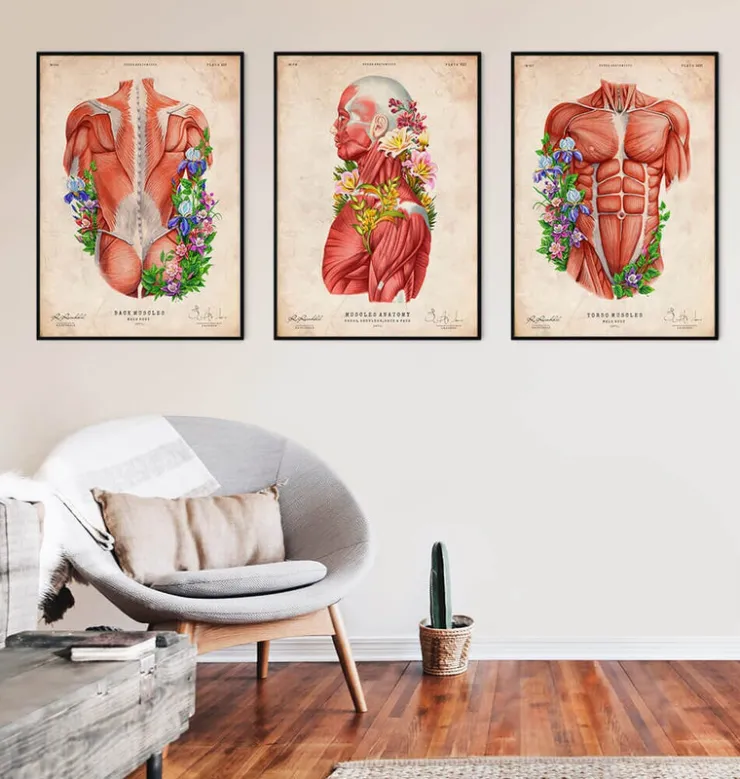 Anatomie des muscles - Floral - Vintage-Codex Anatomicus Best