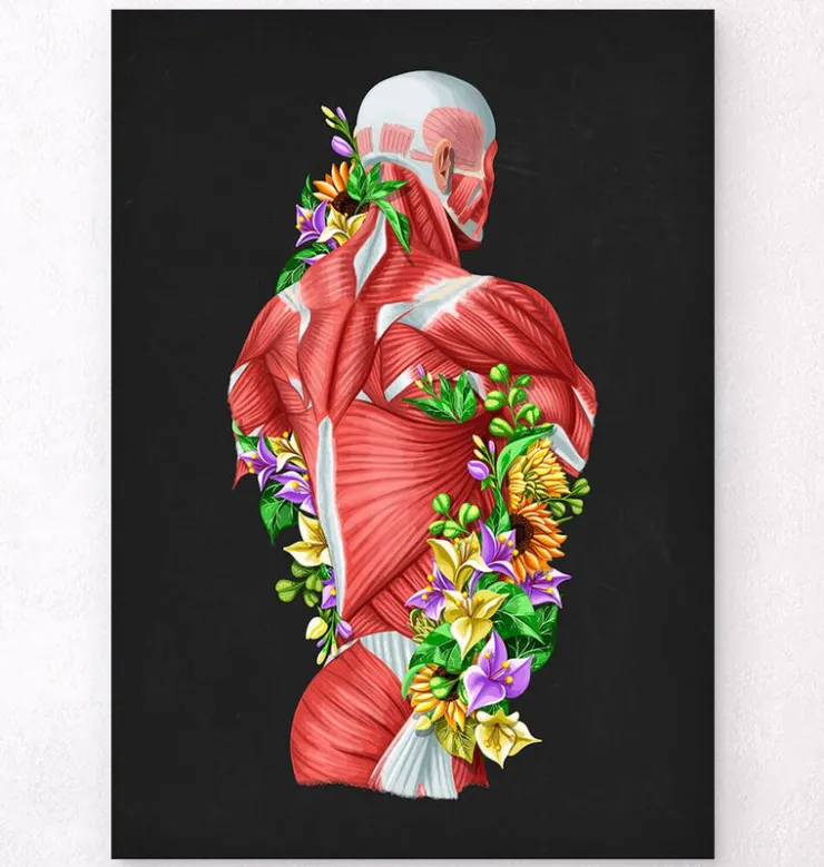 Anatomie des muscles - Floral - Noir-Codex Anatomicus Best
