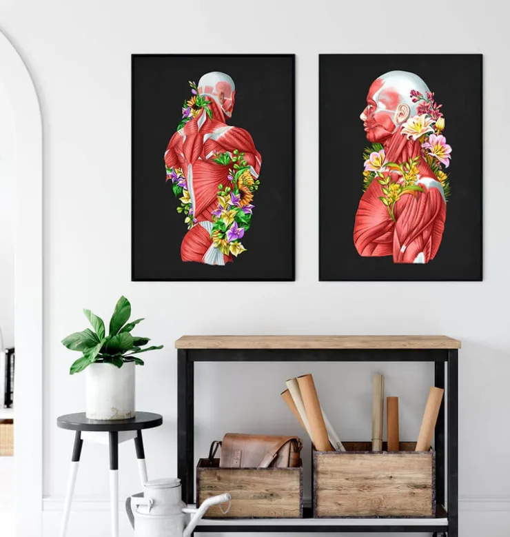 Anatomie des muscles - Floral - Noir-Codex Anatomicus Best