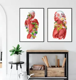 Anatomie des muscles - Floral - Blanc-Codex Anatomicus Best