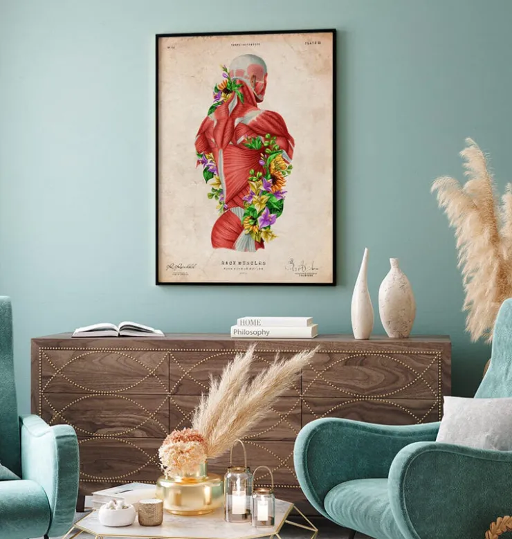 Anatomie des muscles - Floral - Vintage-Codex Anatomicus