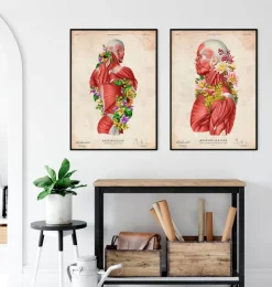 Anatomie des muscles - Floral - Vintage-Codex Anatomicus