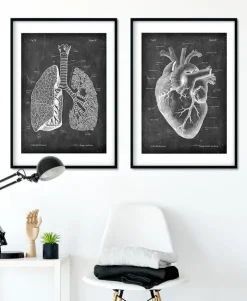 Anatomie des poumons - Chalkboard-Codex Anatomicus Hot