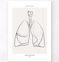 Anatomie des poumons - Line Art-Codex Anatomicus Hot