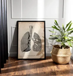 Anatomie des poumons - Vintage-Codex Anatomicus Hot