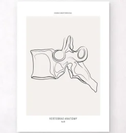 Anatomie des vertèbres - Line Art-Codex Anatomicus New