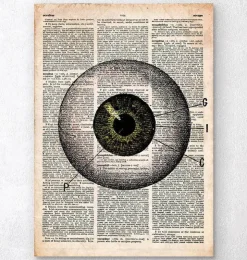 Anatomie des yeux - Dictionnaire-Codex Anatomicus Discount