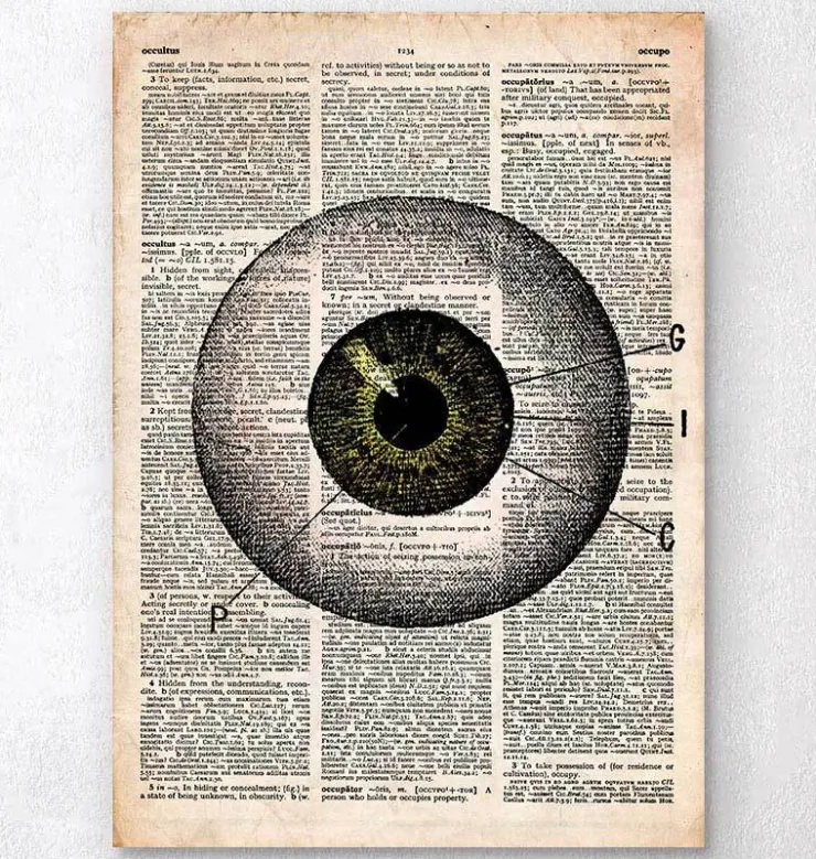 Anatomie des yeux - Dictionnaire-Codex Anatomicus Discount