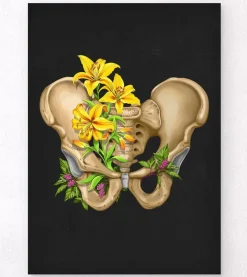 Anatomie du bassin - Floral - Noir-Codex Anatomicus Sale