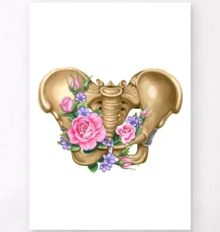 Anatomie du bassin féminin - Floral - Blanc-Codex Anatomicus Hot