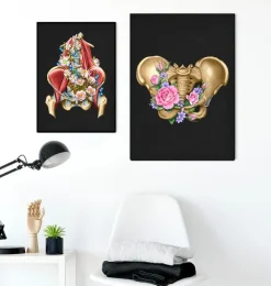 Anatomie du bassin féminin - Floral - Noir-Codex Anatomicus Online