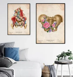 Anatomie du bassin féminin - Floral - Vintage-Codex Anatomicus Online