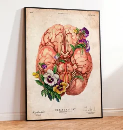 Anatomie du cerveau - Floral - Vieux papier-Codex Anatomicus Hot