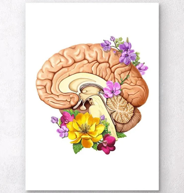 Anatomie du cerveau II - Floral - Blanc-Codex Anatomicus Online