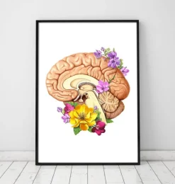 Anatomie du cerveau II - Floral - Blanc-Codex Anatomicus Online