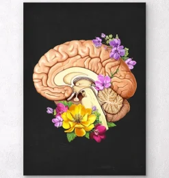 Anatomie du cerveau II - Floral - Noir-Codex Anatomicus Online