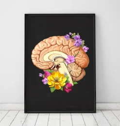 Anatomie du cerveau II - Floral - Noir-Codex Anatomicus Online
