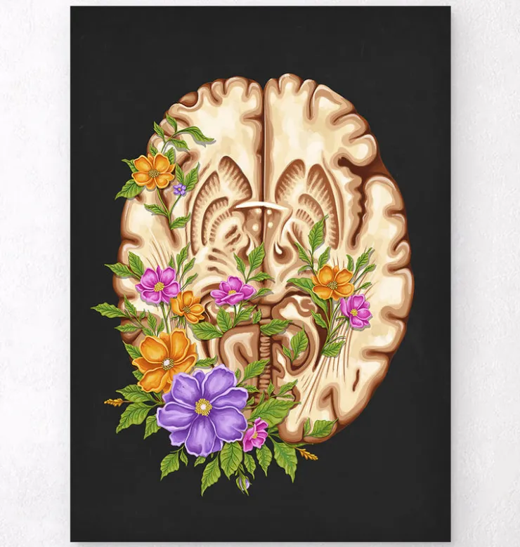 Anatomie du cerveau III - Floral - Noir-Codex Anatomicus New