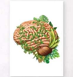 Anatomie du cerveau IV - Floral - Vintage-Codex Anatomicus New