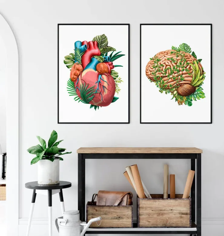 Anatomie du cerveau IV - Floral - Vintage-Codex Anatomicus New