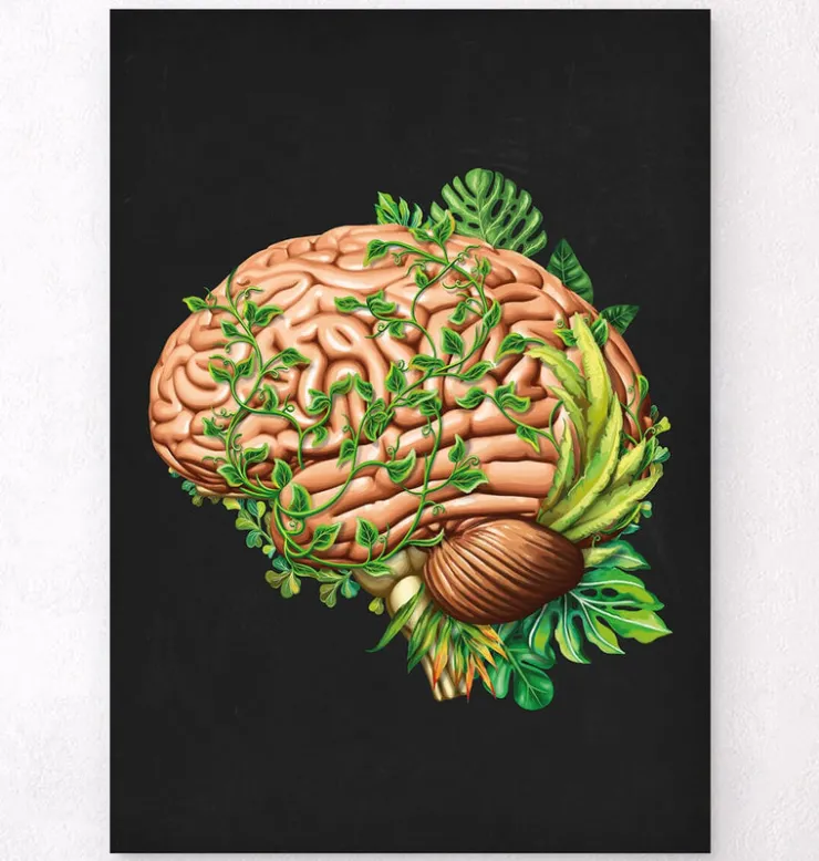 Anatomie du cerveau IV - Floral - Vintage-Codex Anatomicus Sale