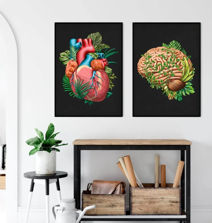 Anatomie du cerveau IV - Floral - Vintage-Codex Anatomicus Sale