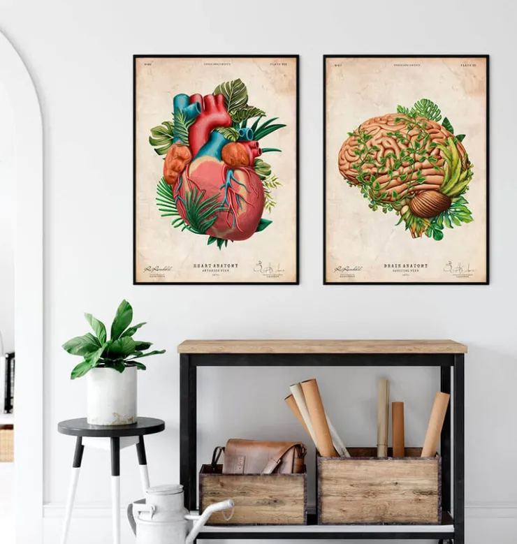 Anatomie du cerveau IV - Floral - Vintage-Codex Anatomicus