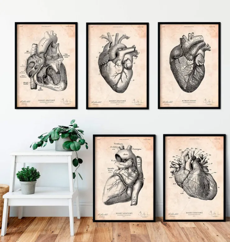 Anatomie du coeur vintage - Lot de 5-Codex Anatomicus Hot