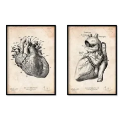 Anatomie du coeur vintage - Lot de 5-Codex Anatomicus Hot
