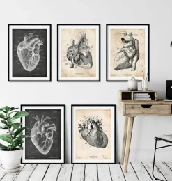Anatomie du Coeur Vintage & Chalkboard - Lot de 5-Codex Anatomicus Outlet