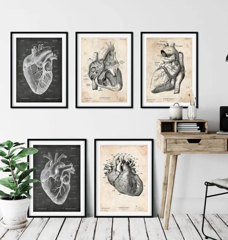 Anatomie du Coeur Vintage & Chalkboard - Lot de 5-Codex Anatomicus Outlet
