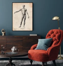 Anatomie du corps entier-Codex Anatomicus Outlet