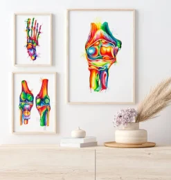 Anatomie du coude - Aquarelle-Codex Anatomicus Hot