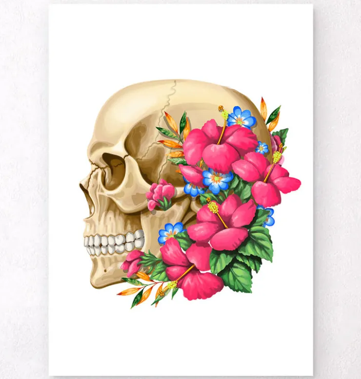 Anatomie du crâne III - Floral - Blanc-Codex Anatomicus Best
