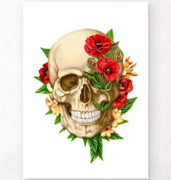 Anatomie du crâne IV - Floral - Blanc-Codex Anatomicus Discount