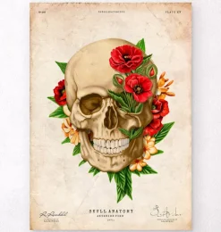 Anatomie du crâne IV - Floral - Vintage-Codex Anatomicus Best