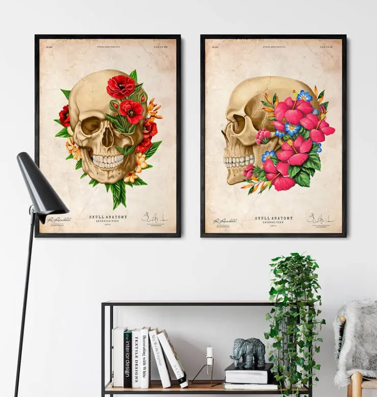 Anatomie du crâne IV - Floral - Vintage-Codex Anatomicus Best
