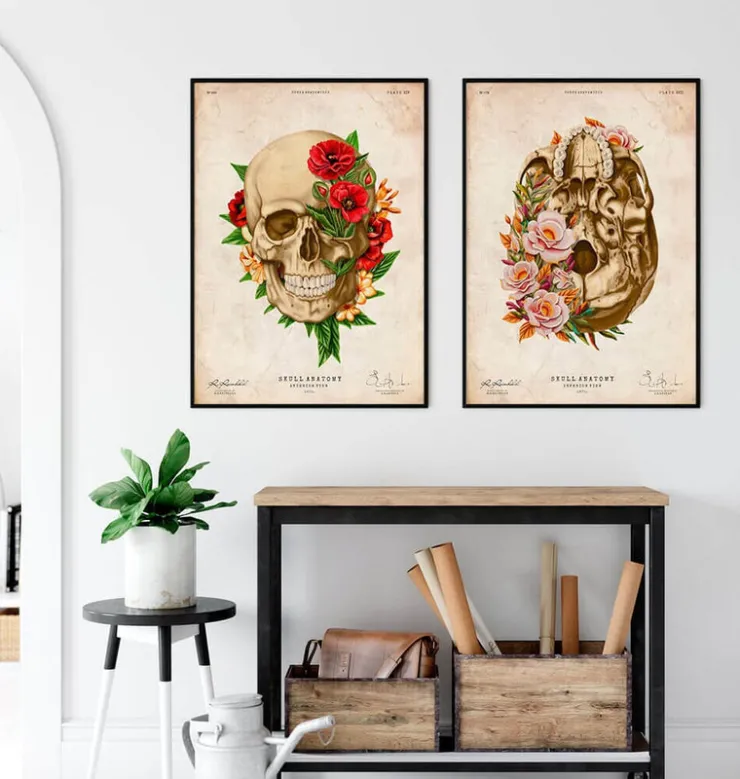 Anatomie du crâne V - Floral - Vintage-Codex Anatomicus Sale
