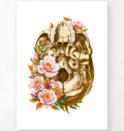 Anatomie du crâne V - Floral - Blanc-Codex Anatomicus Discount