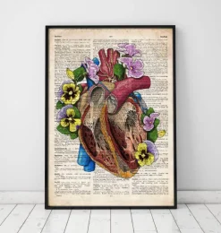 Anatomie du cœur floral II - Dictionnaire-Codex Anatomicus Best