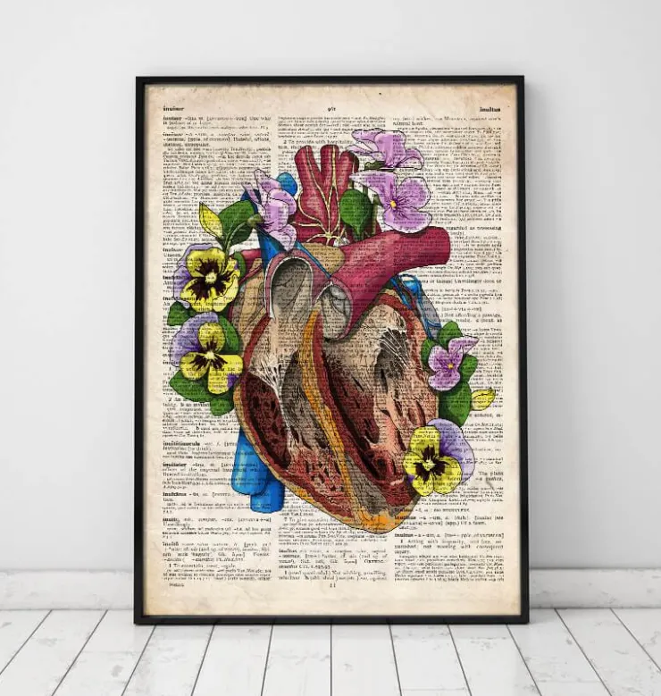 Anatomie du cœur floral II - Dictionnaire-Codex Anatomicus Best