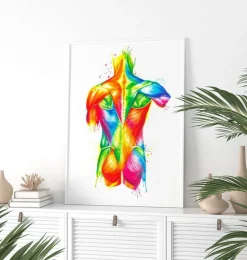 Anatomie du dos - Aquarelle-Codex Anatomicus Discount