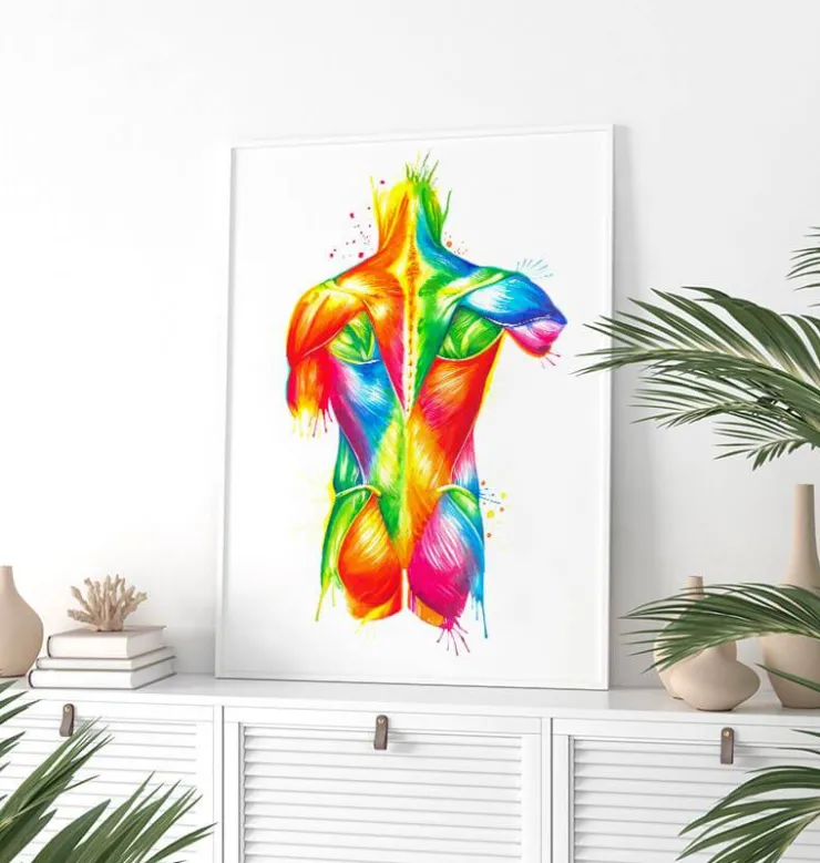 Anatomie du dos - Aquarelle-Codex Anatomicus Discount